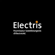 logo electris